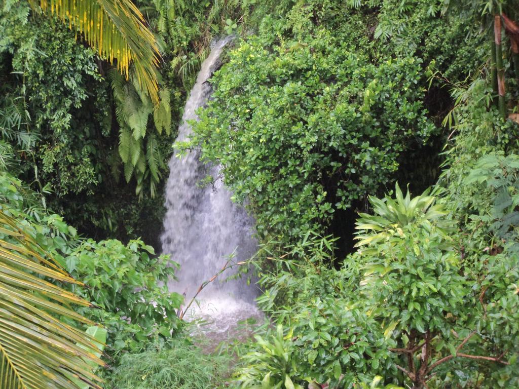White Lotus Oasis Hotel Ubud  Bilik gambar