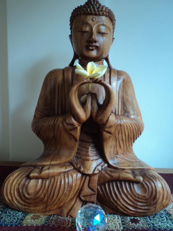 White Lotus Oasis Hotel Ubud  Luaran gambar