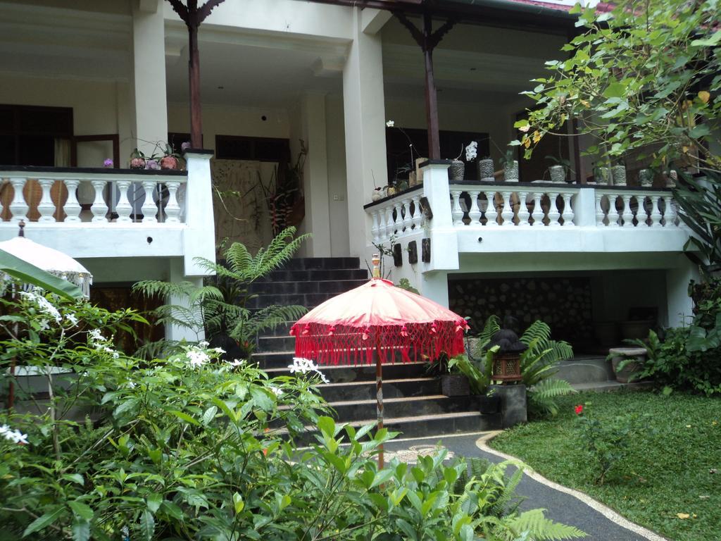 White Lotus Oasis Hotel Ubud  Luaran gambar